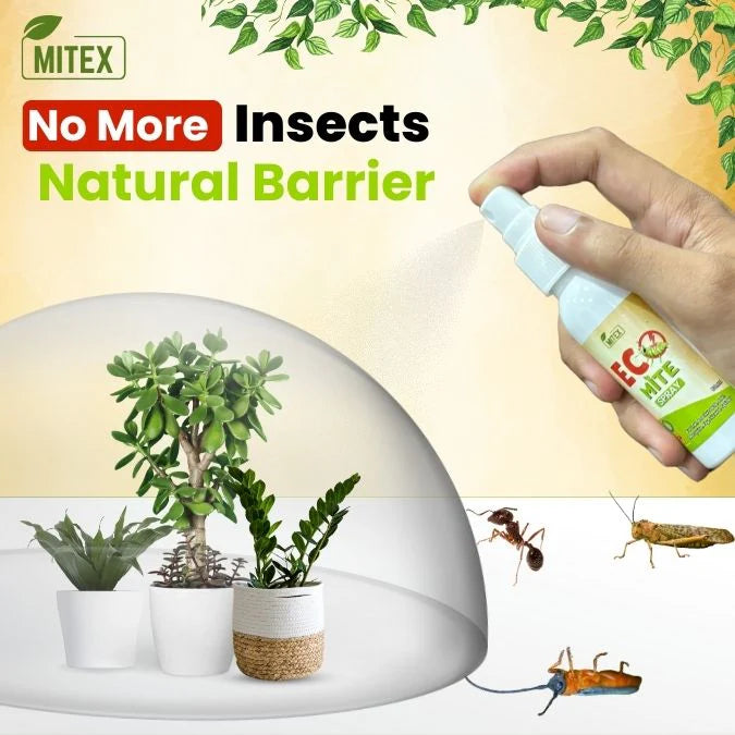 Eco Mite Spray | BUY 1 GET 1 FREE💥 Regular price
