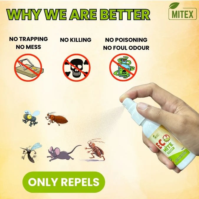 Eco Mite Spray | BUY 1 GET 1 FREE💥 Regular price
