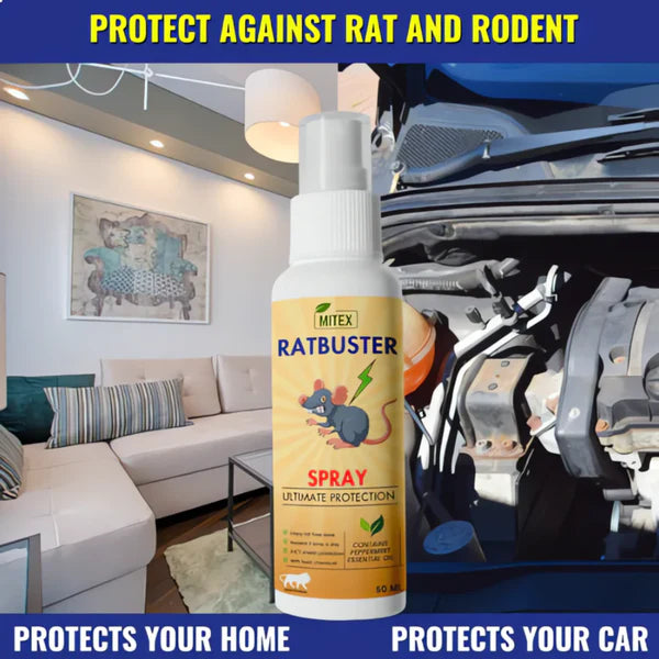 Termite Killer Spray - Effective solution for home ( Buy 1 Get 2 FREE🔥)