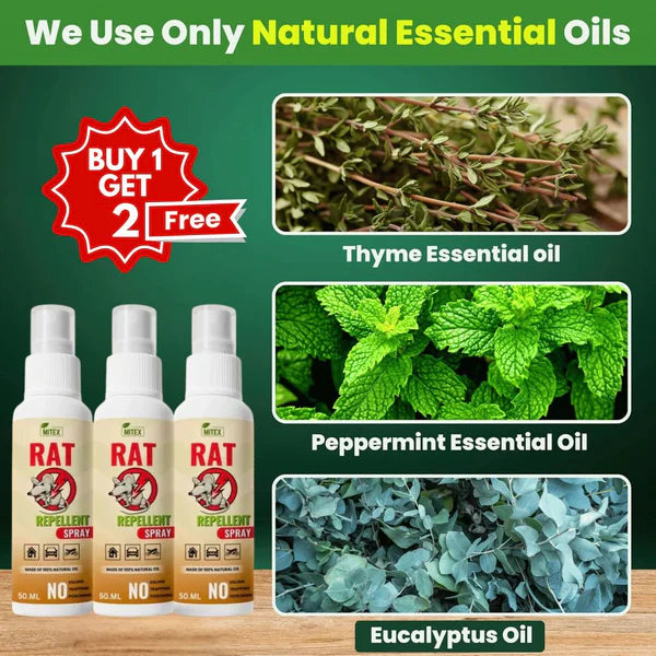 Termite Killer Spray - Effective solution for home ( Buy 1 Get 2 FREE🔥)