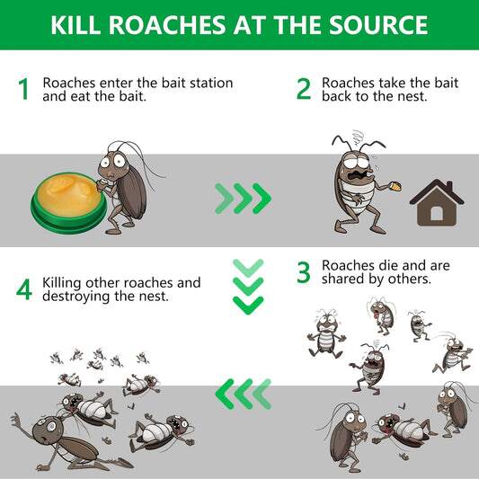 Cockroach Repellent Gel- Buy 1 Get 1 Free😍 (Pack of 24 Pieces)