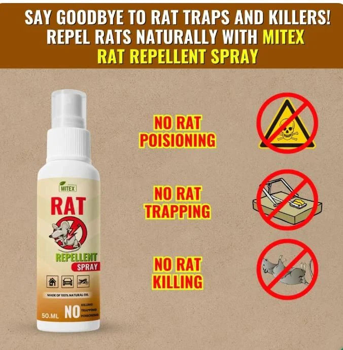 Termite Killer Spray - Effective solution for home ( Buy 1 Get 2 FREE🔥)