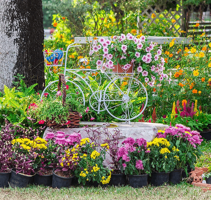 🌸 Premium 100 Flower Seeds Pack + FREE Plant Growth Booster! 🌱